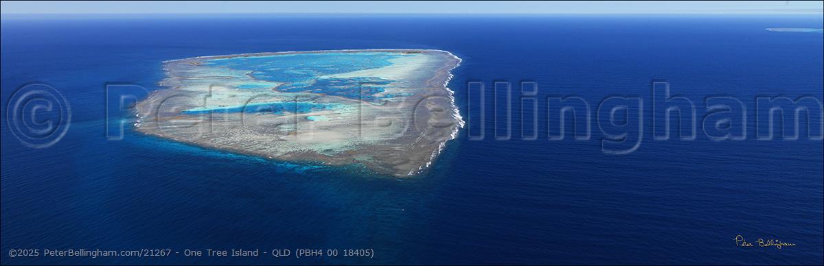 Peter Bellingham Photography One Tree Island - QLD (PBH4 00 18405)